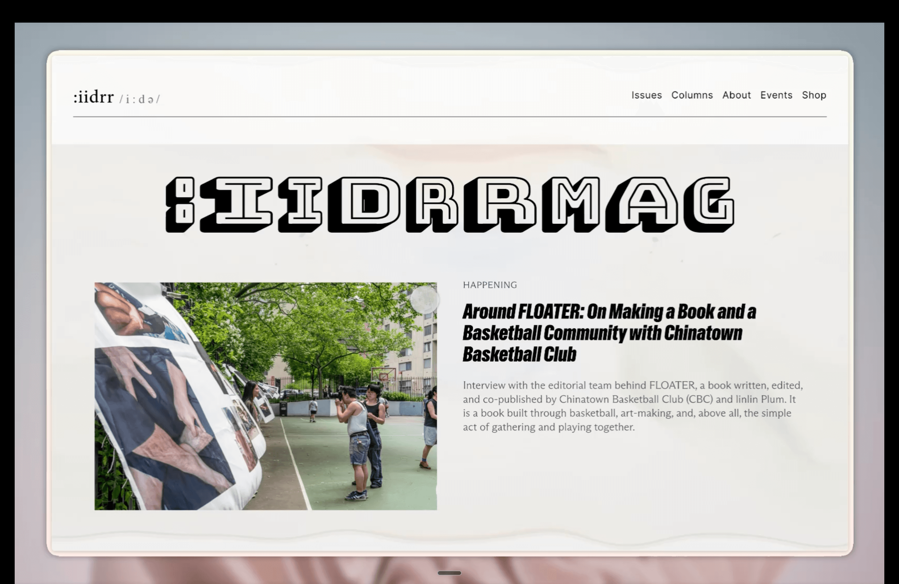 IIDRR culture magazine website